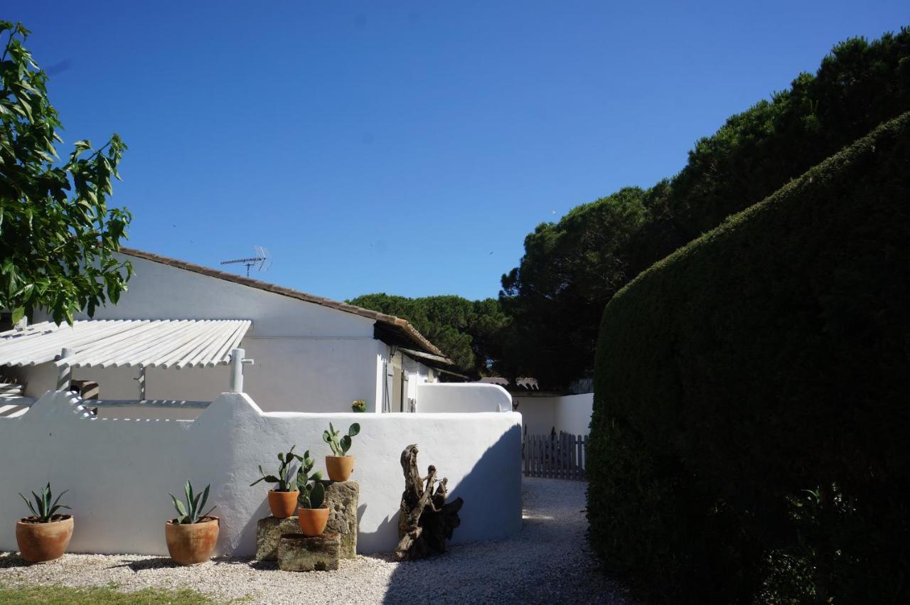 Le Mas Des Tremaie Saintes-Maries-de-la-Mer Exteriör bild
